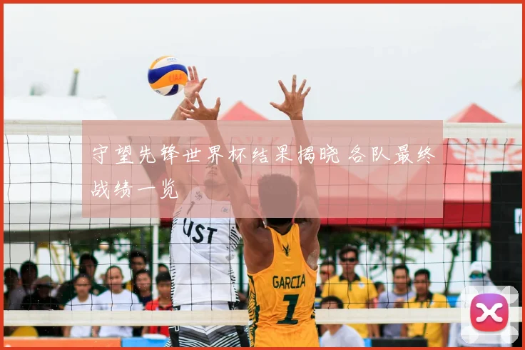 守望先锋世界杯结果揭晓 各队最终战绩一览