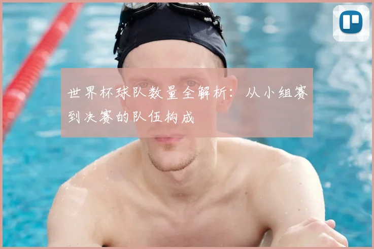 世界杯球队数量全解析:从小组赛到决赛的队伍构成
