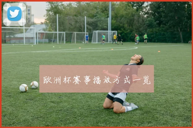 欧洲杯赛事播放方式一览