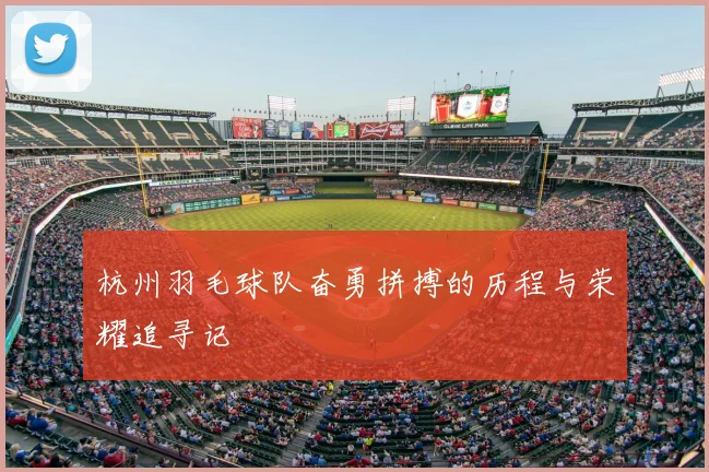 杭州羽毛球队奋勇拼搏的历程与荣耀追寻记