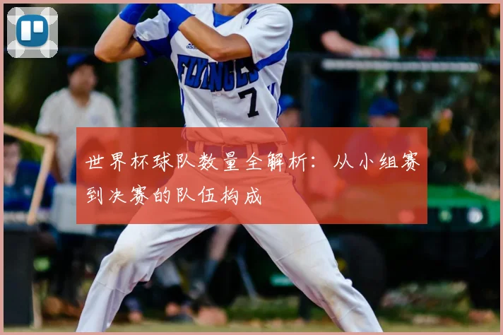 世界杯球队数量全解析：从小组赛到决赛的队伍构成