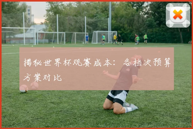 揭秘世界杯观赛成本：各档次预算方案对比