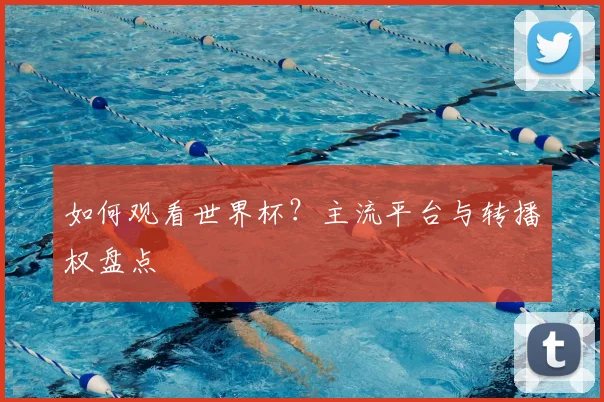如何观看世界杯?主流平台与转播权盘点