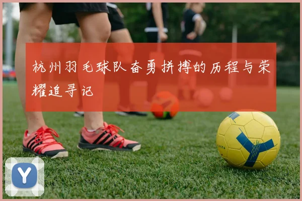 杭州羽毛球队奋勇拼搏的历程与荣耀追寻记