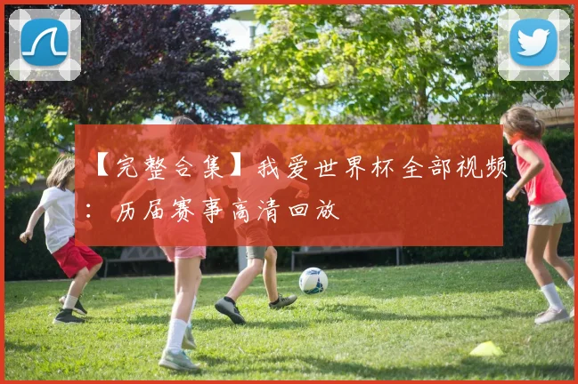 【完整合集】我爱世界杯全部视频：历届赛事高清回放