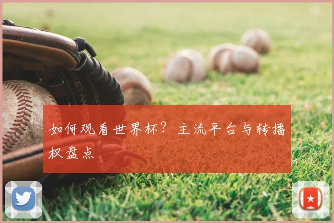 如何观看世界杯？主流平台与转播权盘点