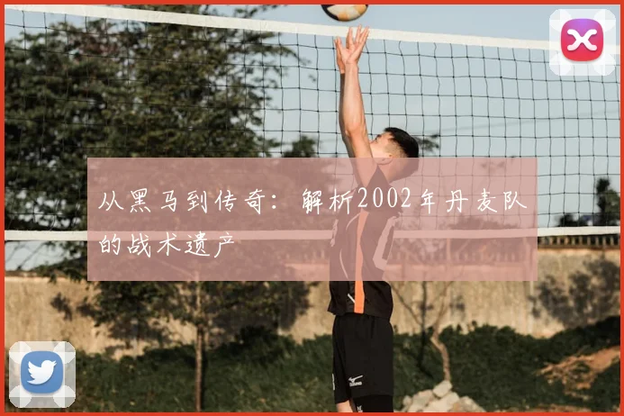 从黑马到传奇:解析2002年丹麦队的战术遗产