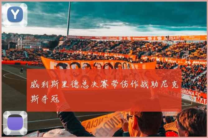 威利斯里德总决赛带伤作战助尼克斯夺冠