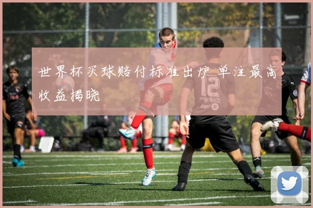 世界杯买球赔付标准出炉 单注最高收益揭晓