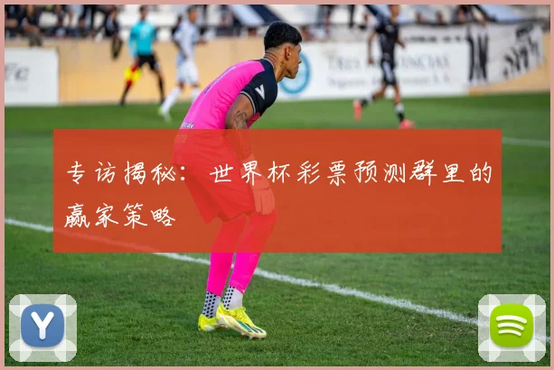 专访揭秘:世界杯彩票预测群里的赢家策略